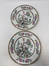 Maddock Indian Tree Side