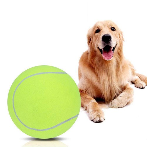 24cm puppy toys large tennis - 24cm,