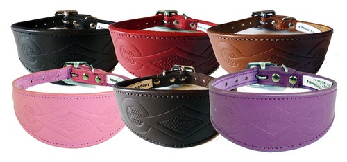 Whippet greyhound leather - whippet,
