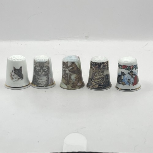 Five tabby cat - five,