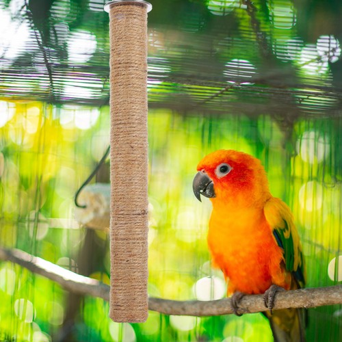 Pcs bird perch stand parrot - pcs,