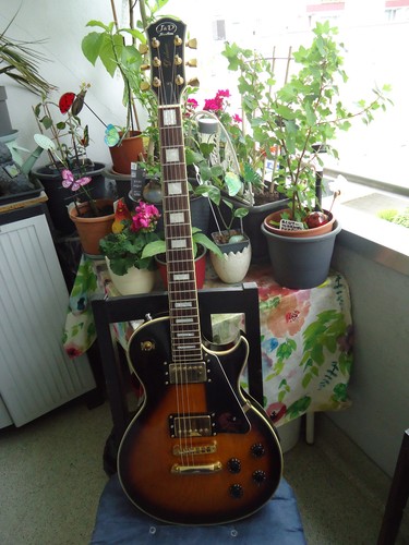 Brothers luxe les paul - de,