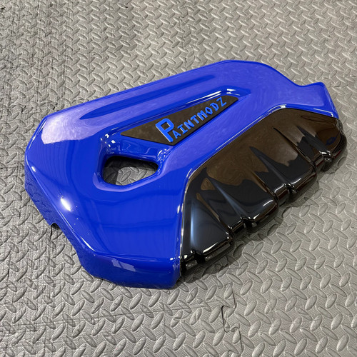 Paintmodz mk7 fiesta st180 - paintmodz,