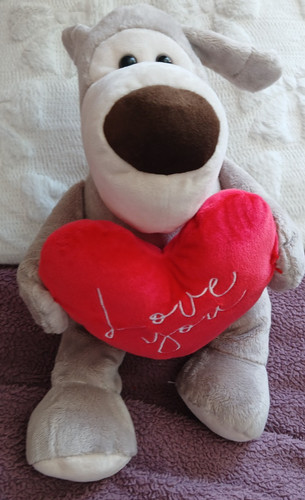 Boofle bear dog - boofle,