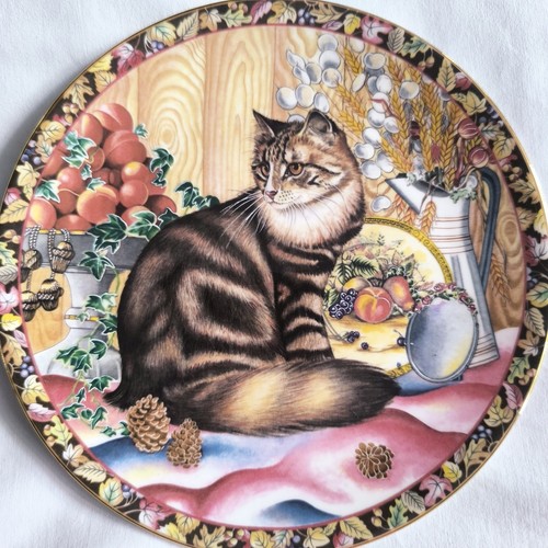 Aynsley cats for - for, seasons