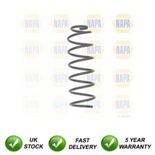 Suspension Coil Spring Rear