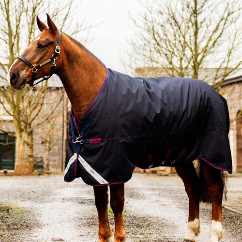 Horseware ireland amigo bravo - horseware,