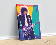 Brian May - Queen - Guitar