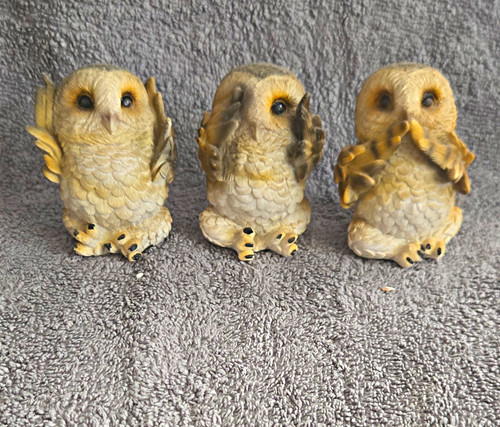 Owl set see evil - owl,