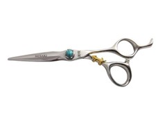 Hairdresser Professional