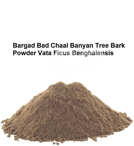 Bargad bad chaal banyan tree - bad,