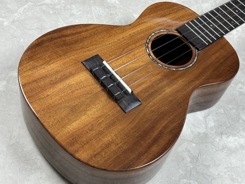 Argus concert ukulele - concert,