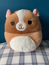 Garret the Guinea Pig