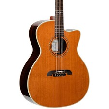 Alvarez Yairi GYM74ce Cutaway