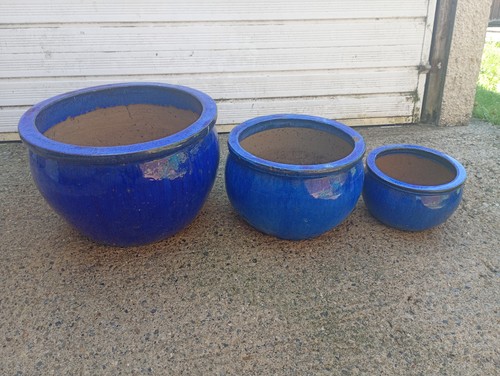 Ceramic plant pots outside - ceramic,