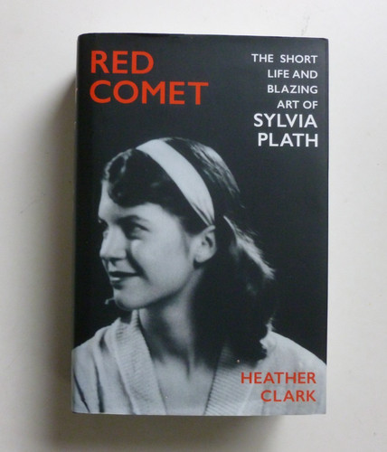 Red comet the short life - the,