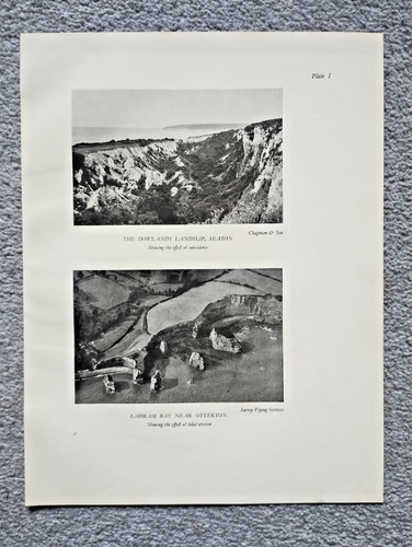 Dowlands landslip seaton - dowlands,