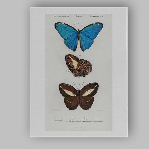 Canvas wall art decor picture - wall,