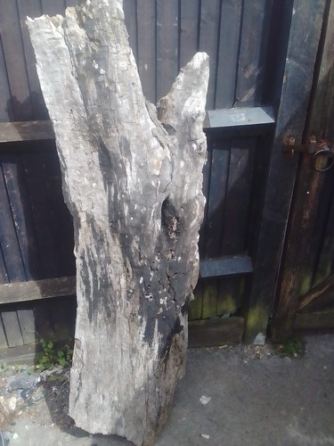 Driftwood art craft - craft, pieces