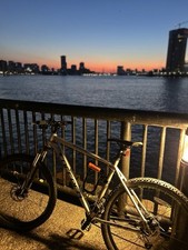 Grey Carrera Valour Disc Mens