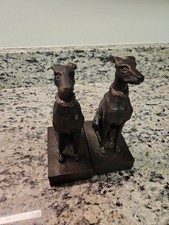 Bronze Whippet Greyhound Dog