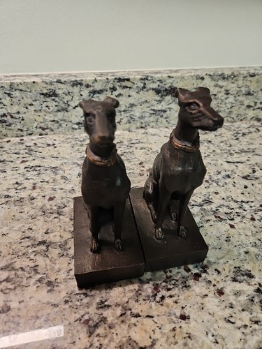 Bronze whippet greyhound - whippet,