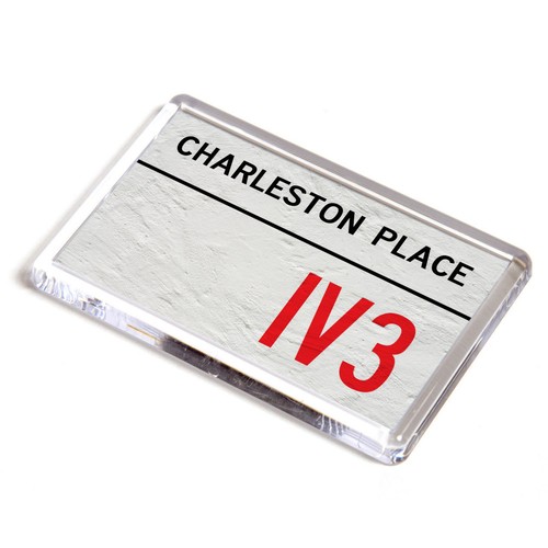 Fridge magnet charleston - fridge,
