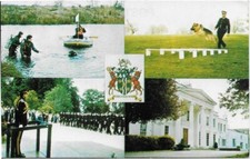 Thames Valley Police Training