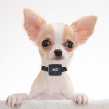 Bark Doctor BD656v Antibark