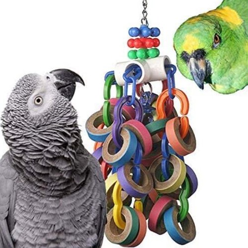Bird chewing toy training - bird,