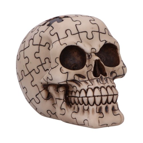 New puzzled skull - new,
