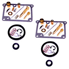 2x Carburetor Repair Kit for