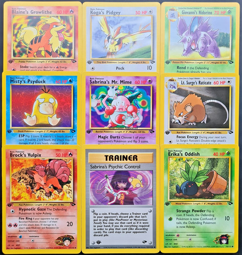 Pokemon gym challenge - challenge, 1st