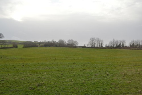 Photo 6x4 large - field, churston