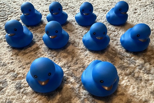 Blue rubber duck bath - bath, toy