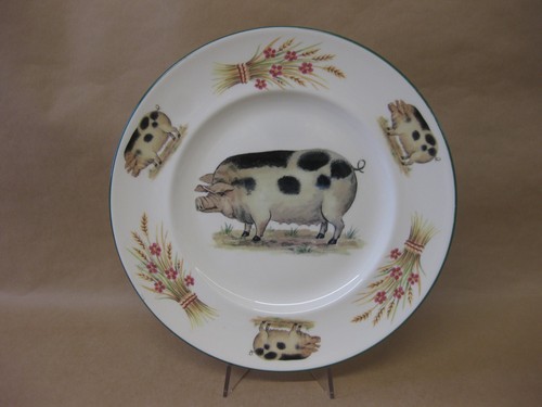 Gloucester old spot pig - old,