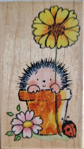 New penny black wood - wood, mounted