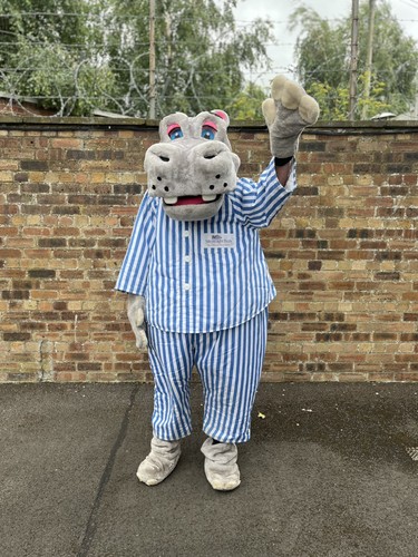 Quality complete hippo fancy - complete,