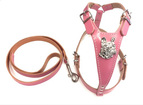 Deep pink leather - dog, harness