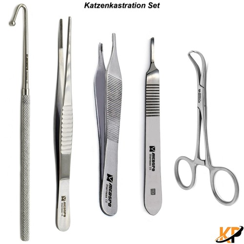 Cat spay neuter veterinary - spay/neuter,