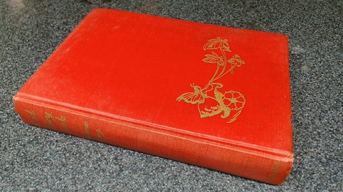 Red fairy book - fairy, andrew