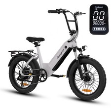 F20 E Bike Electric Bike 48V