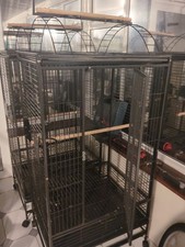 Parrot-Supplies Ohio Play Top