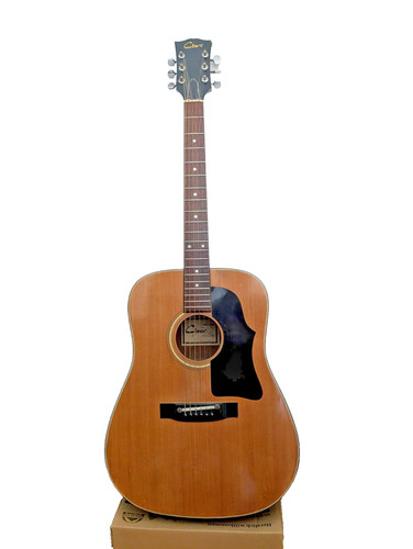 Cimar ibanez mod acoustic - by,