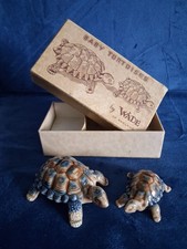 Wade baby tortoises  original box  2 inch 3 inch England plus spare box