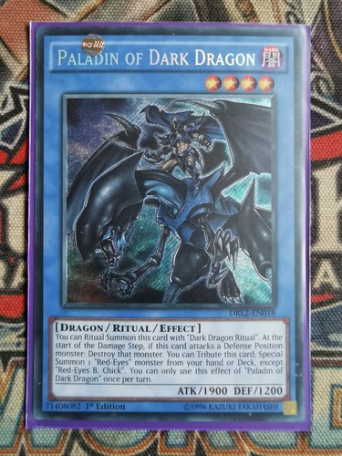 Paladin dark dragon - of,