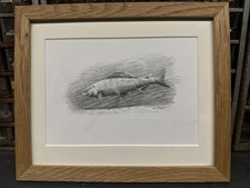 GRAYLING PENCIL DRAWING BY PAUL COOK FRAMED FISHING PICTURE ORIGINAL ARTWORK