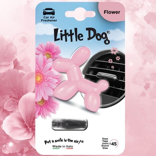 Little dog car - little,
