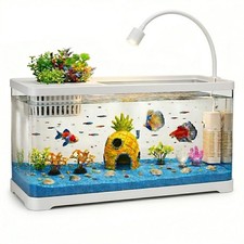 5 Gallon Fish Tank Aquarium