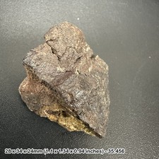NWA H5 Chondrite Meteorite